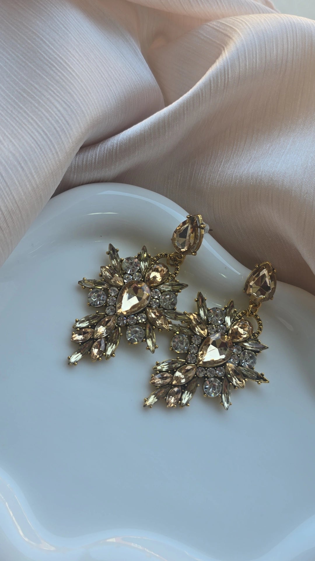 Shades of brown Earrings