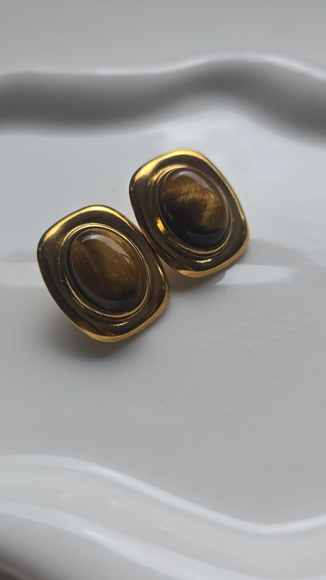 Shades of brown Earrings