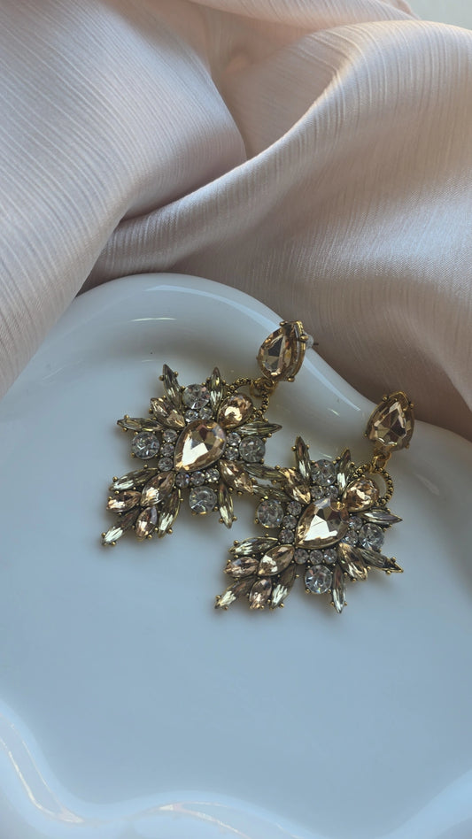 Shades of brown Earrings