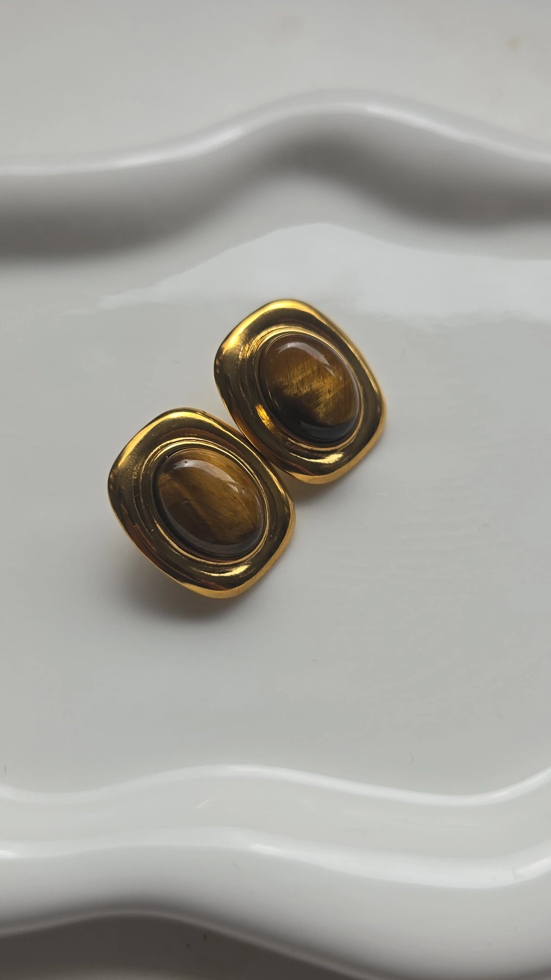Shades of brown Earrings