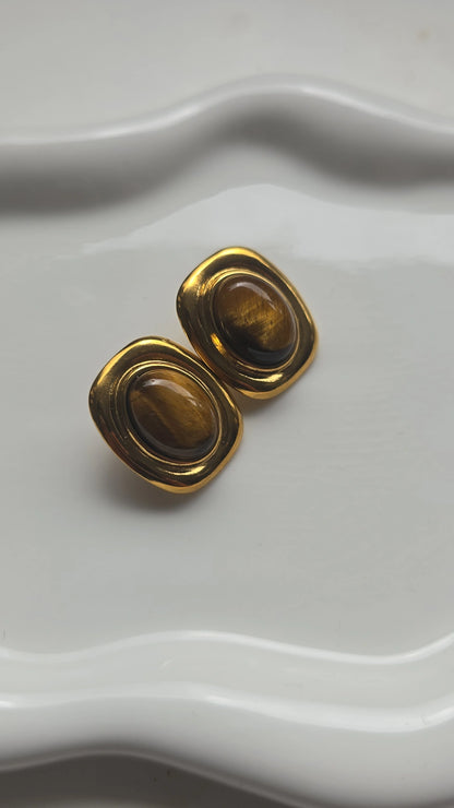 Shades of brown Earrings